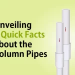Unveiling Quick facts