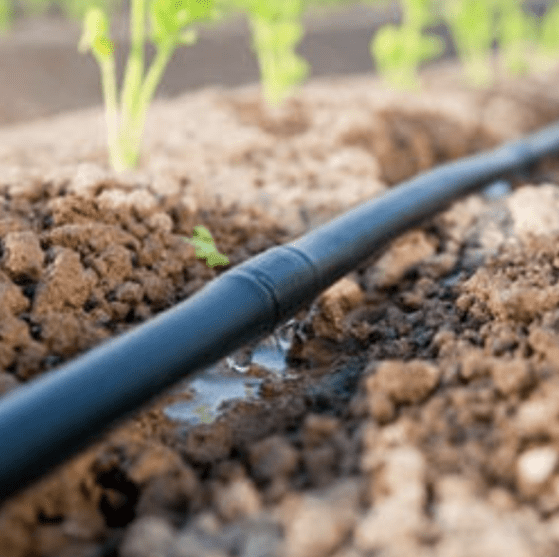 In-line-drip-irrigation-system In-line-drip-irrigation-system